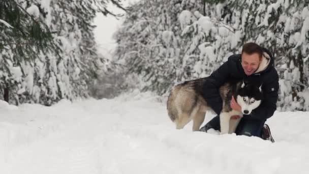 Egy ember a szibériai husky ölelést az erdőben. A háttér fák a hóban. Büszkeség és boldogság, a szemét. Séta a kutya. - Felvétel, videó