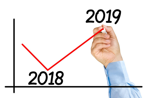 Businessman hand marker improvement graph 2019 year isolated - Photo, Image