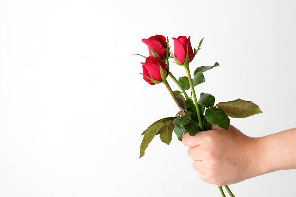 Valentine concept, Man hands holding red roses on white backgrou - Foto, imagen