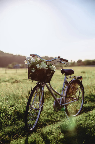 περπάτημα bike με πεδίο λουλούδια στον κορμό - Φωτογραφία, εικόνα