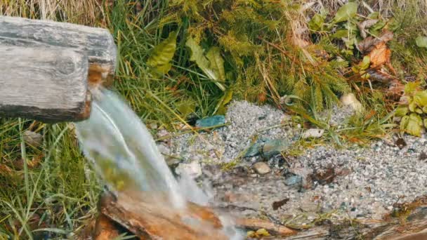Der Gebirgsfluss fließt aus dem hölzernen Trog. reiner Gebirgsbach mit klarem Wasser fließt durch eine Grünfläche. - Filmmaterial, Video