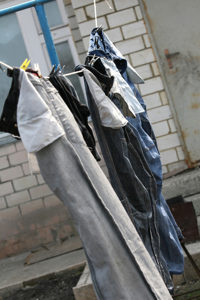 Drying jeans - Photo, Image