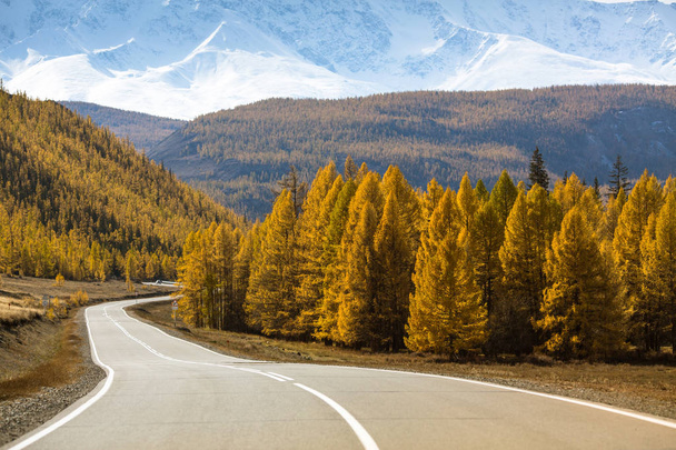 Highway Chuysky Trakt kuorma-autolla ja keltaisella syksyn metsällä Altai Tasavalta, Venäjä
. - Valokuva, kuva