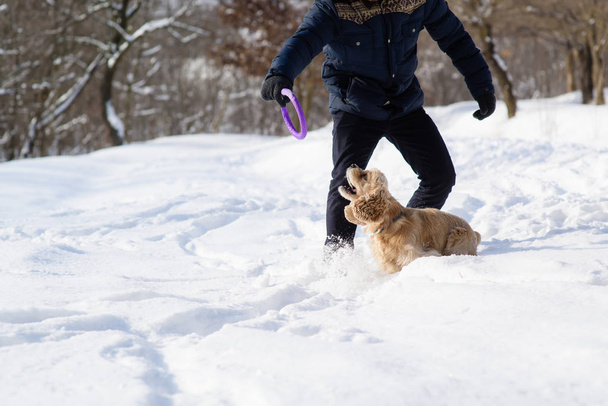 Man play with dog in snow forest - Фото, изображение