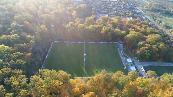 Aerial view video of orange top of trees in a park in autumn - Filmmaterial, Video