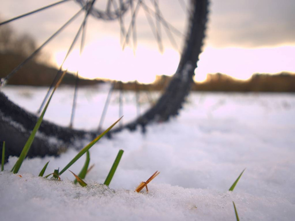 雪の中で極端なレース。冬のアドベンチャーと極端なサイクリング コンセプト - 写真・画像