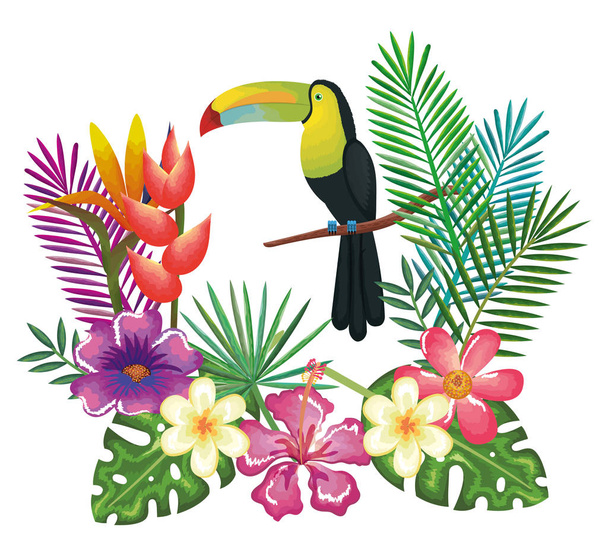 trópusi és exotikus virágokkal tukán - Vektor, kép