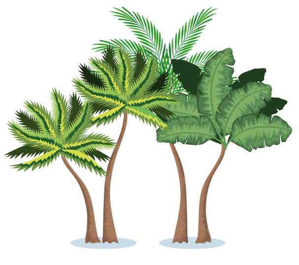 tropische en exotische palmen boom - Vector, afbeelding