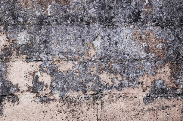 eine alte zerbrochene, schimmelige Hauswand. eine alte Steinmauer. eine verschimmelte Hauswand - Foto, Bild
