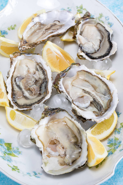 rauwe oesters - Foto, afbeelding