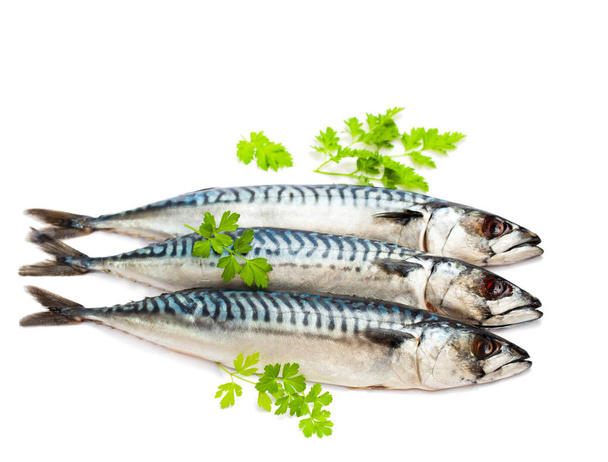 Fresh  whole mackerel fish isolated on white background  - Photo, Image