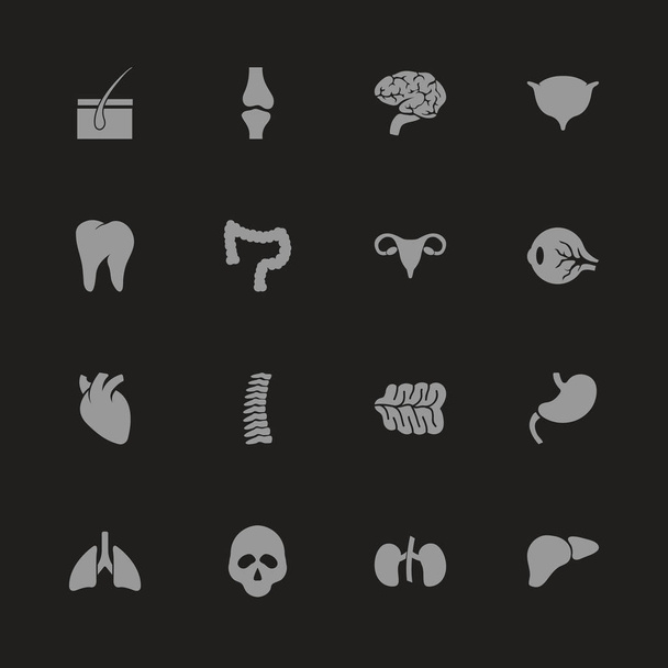 Органы - Плоские векторные иконы
 - Вектор,изображение