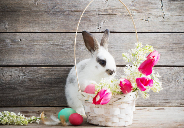 rabbit with Easter eggs on wooden background - Фото, зображення