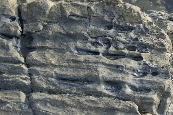 Piedra superficial con hoyuelos
 - Foto, Imagen