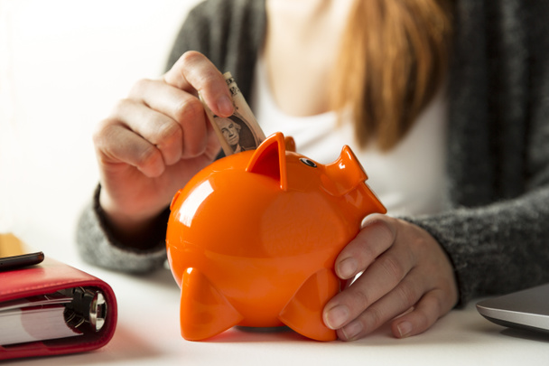 Woman inserting dollar bill in a piggy bank at home in the livin - Photo, Image