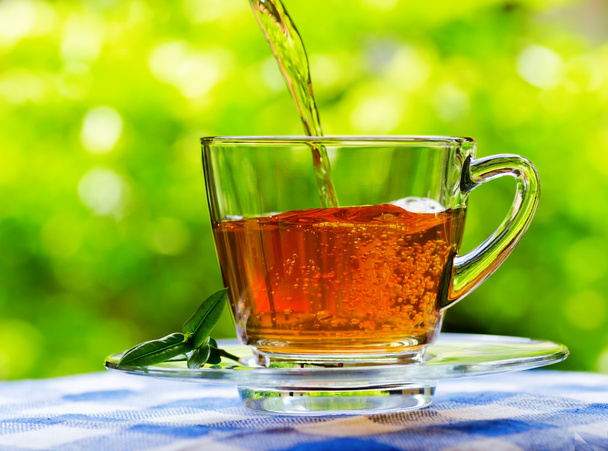 Cup of tea on nature background - Photo, Image