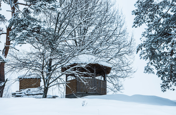 gazebo winter - Фото, зображення