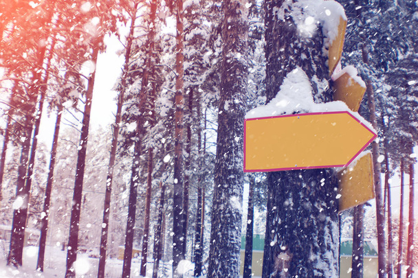 Üres jel mutató keresztre fa, téli háttér. Vintage - Fotó, kép