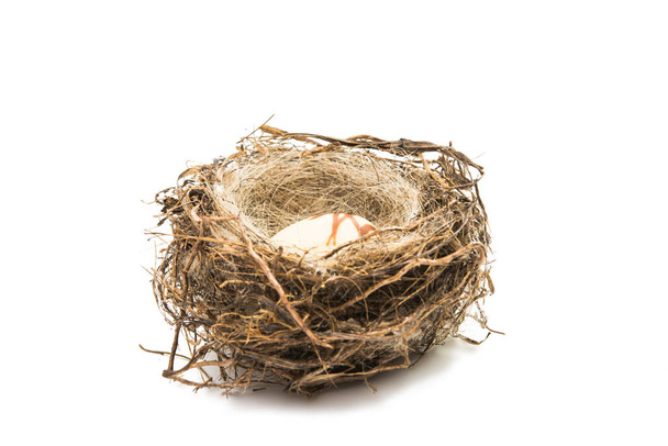 bird's nest with chocolate easter eggs  - Photo, Image