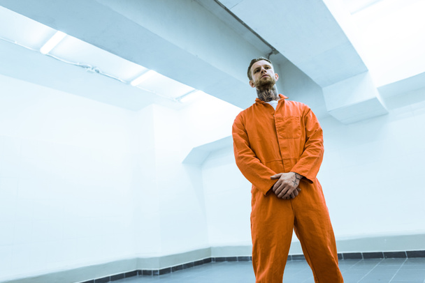 bottom view of tattooed criminal standing in prison cell - 写真・画像