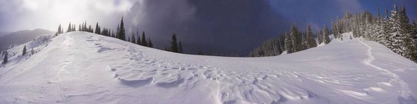 Суровый зимний панорамный пейзаж со снежным лесом
 - Фото, изображение