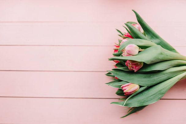 Hermosos tulipanes en forma de pión sobre un fondo rosa
 - Foto, Imagen