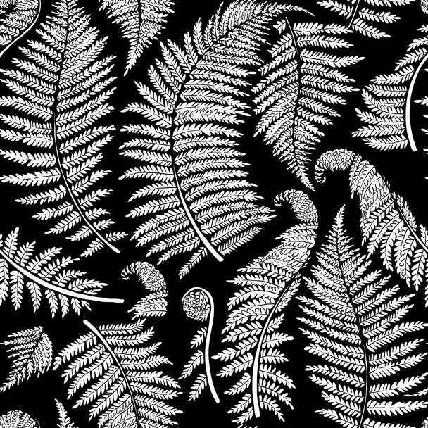 Graphic fern leaves - Vector, Image