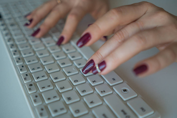 ビジネスの女性は、コンピューターのキーボードでテキストを入力します。. - 写真・画像