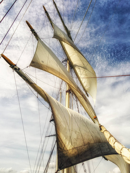 sails, mast and ropes view from below of a classic sailing ship. - Photo, Image