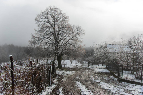 Winter morning in mountain village - Foto, immagini
