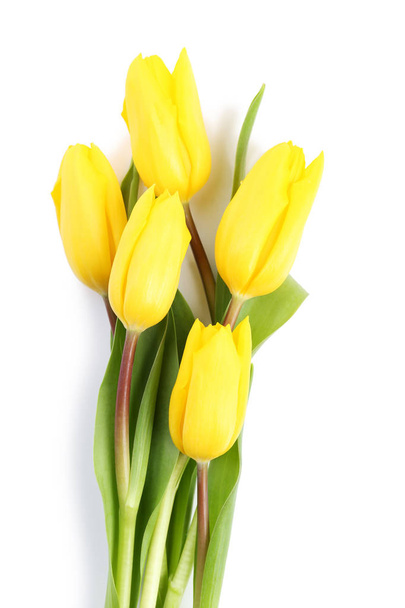 Bouquet of yellow tulips isolated on white background - 写真・画像