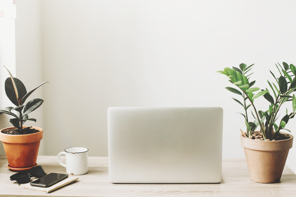 Laptop op houten bureaublad met telefoon, laptop, koffiekopje, glazen en planten in stijlvolle moderne kamer.  - Foto, afbeelding