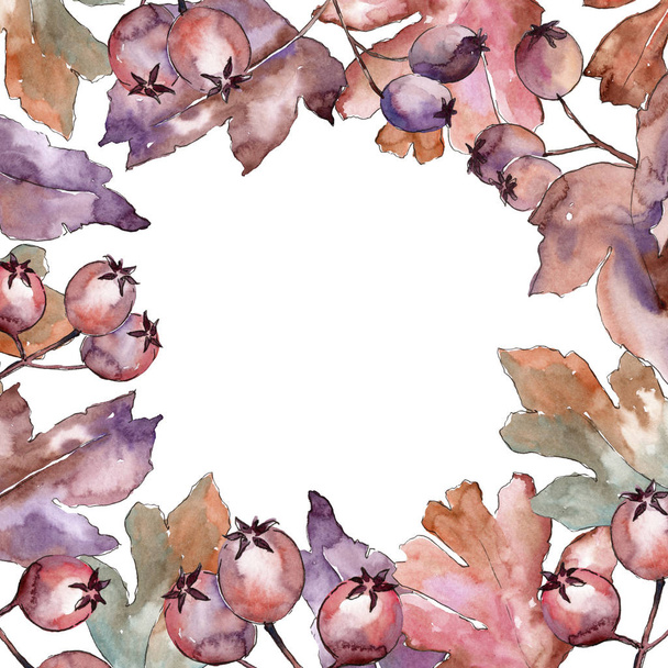 Leaves of hawthorn frame in a watercolor style. - Фото, зображення