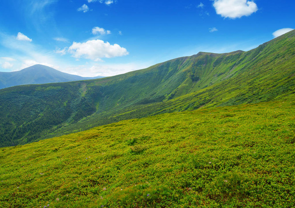 гірський пейзаж влітку
 - Фото, зображення