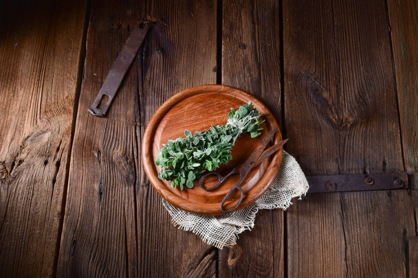 Aromatic oregano (Origanum vulgare) on wooden board  - Foto, imagen