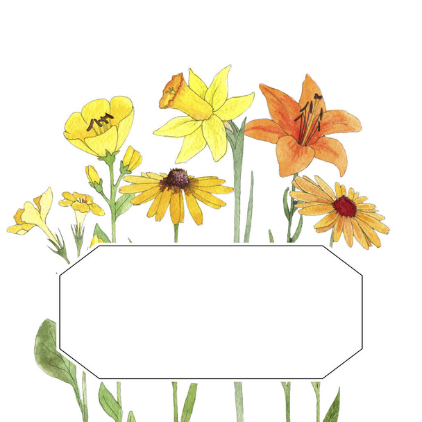 watercolor drawing flowers - Foto, afbeelding