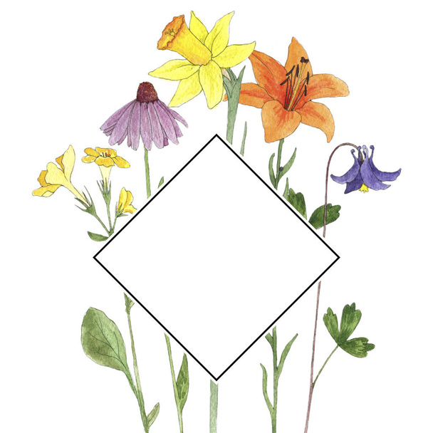 watercolor drawing flowers - 写真・画像