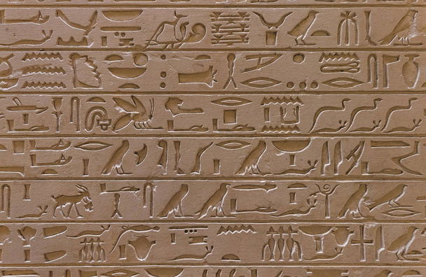 Old egypt scriptures background - 写真・画像
