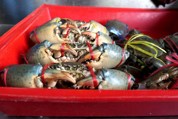 Świeże kraby są powiązane w czerwony odbiór na rynku. Świeże i delicious.the wielkie pazury krabów. Kraby nadają się do gotowania. To jest dobry surowiec. W restauracji - Zdjęcie, obraz