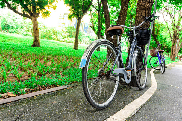 Велосипед на дорозі в міському міському парку
. - Фото, зображення