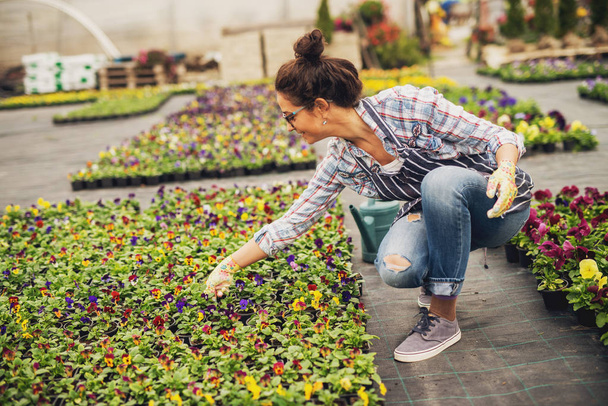 現代の温室で花を植えて美しい若い女性プロの庭師  - 写真・画像