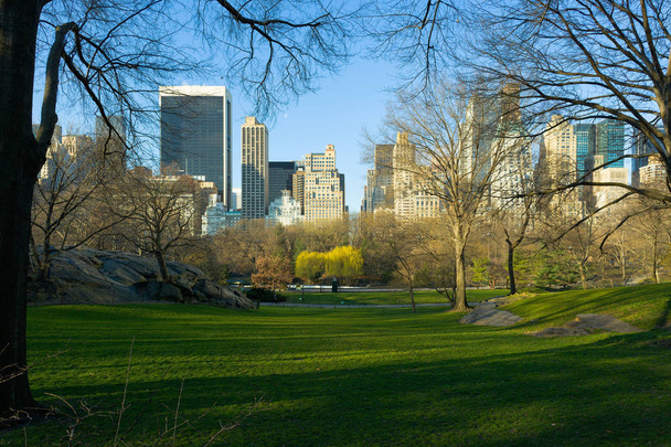 Στον ορίζοντα του Μανχάταν από το κεντρικό πάρκο, Νέα Υόρκη, Νέα Υόρκη, ΗΠΑ - Φωτογραφία, εικόνα
