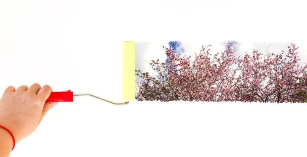 Egy személy festés virágok, a tavasz egy fehér falon, görgős ecsettel - Fotó, kép