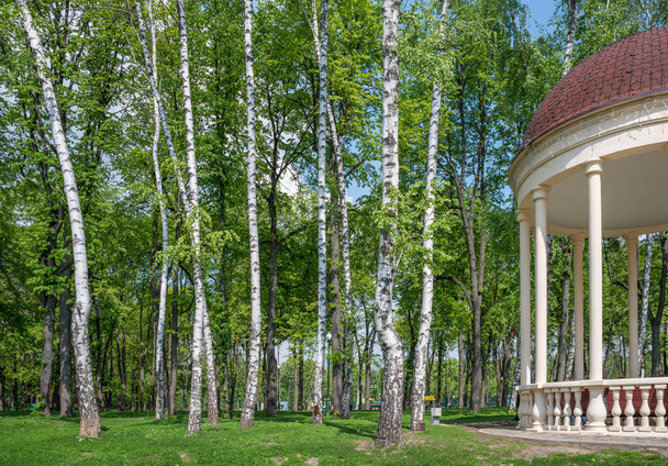 Ukrainian forest and gazebo - Photo, Image