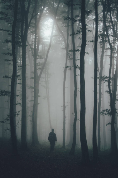 Man in dark mysterious fantasy forest with fog on Halloween - Photo, Image