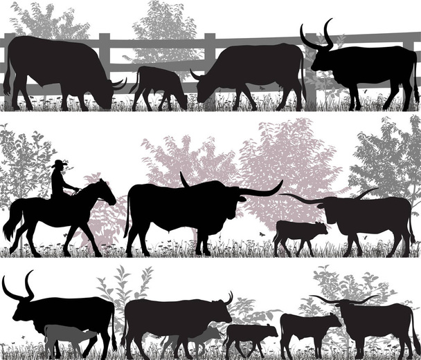 Siluetas de raza bovina de texas longhorn
 - Vector, Imagen