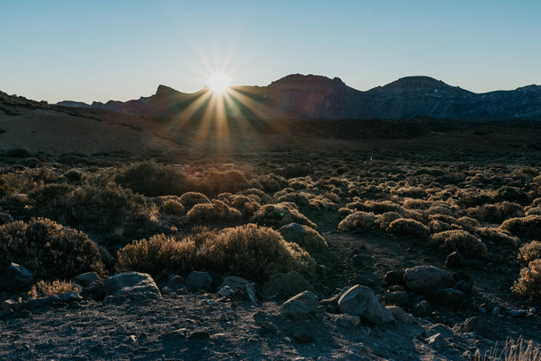 Восход солнца в долине с кустами. Национальный парк Тейде. Тенерифе
 - Фото, изображение
