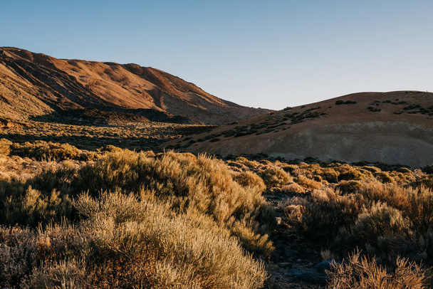 Η κοιλάδα με λόφους και θάμνους το πρωί. Εθνικό Πάρκο Teide. Τενερίφη  - Φωτογραφία, εικόνα