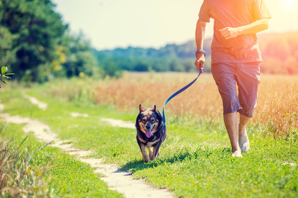 A man with a dog on a leash runs along the road along the oat field in summer - Fotoğraf, Görsel