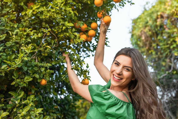 Красива молода жінка, на свіжому повітрі на заході сонця в помаранчевому саду, дивиться на камеру і посміхається. Концепція здорового способу життя, концепція догляду за шкірою та волоссям
.   - Фото, зображення